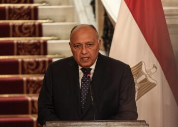 وزير خارجية مصر Foreign Minister of Egypt Sameh Shoukry
