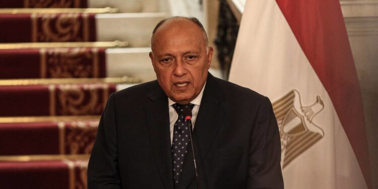 وزير خارجية مصر Foreign Minister of Egypt Sameh Shoukry
