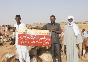 الفاشر