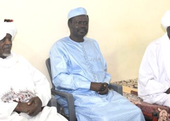 الشرتاي آدم صبي رفقة مناوي