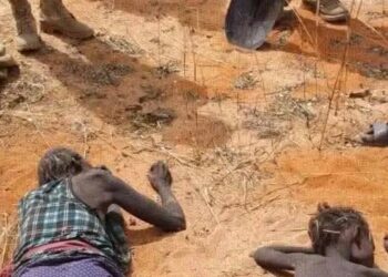 مجزرة الحمادي