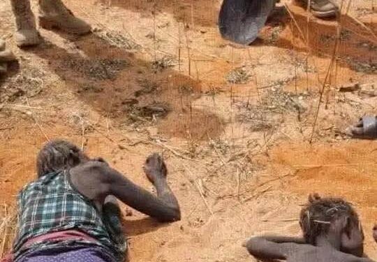 مجزرة الحمادي