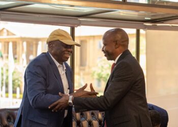 عبدالعزيز الحلو