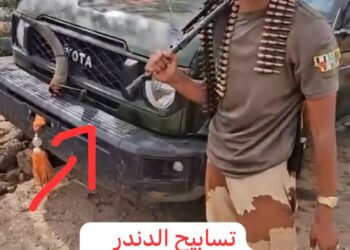 قوات الدعم السريع تفرض سيطرتها علي الدندر وأسر قائد ميليشيا البرهان