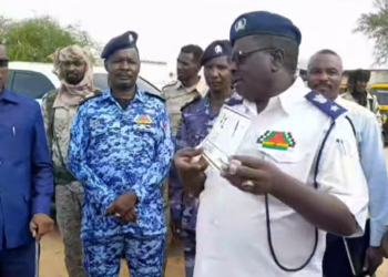 جنوب دارفور