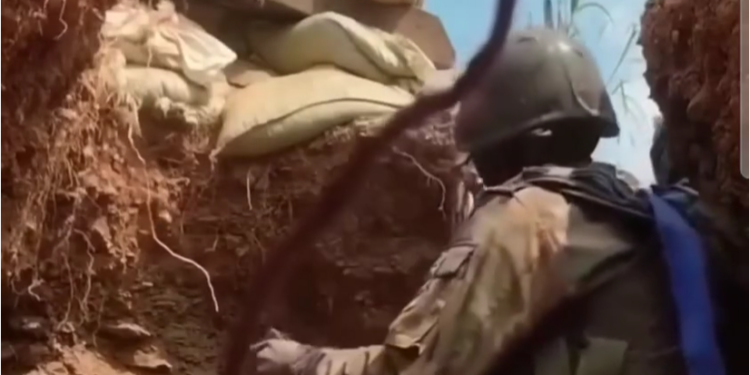 استونيا