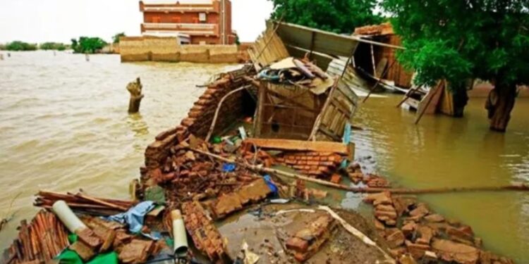 يغرق في شهواته والشعب تغرقه السيول❗