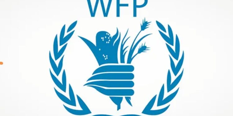 برنامج الغذاء العالمي يتهم خالد عثمان بالفساد وتنفيذه لأجندة الكيزان