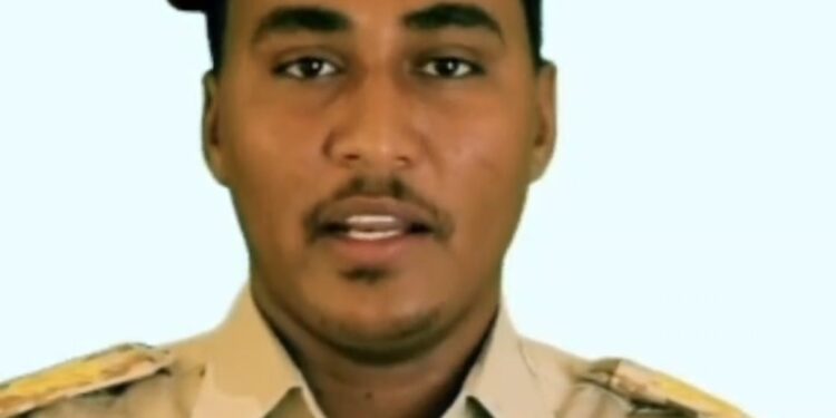 الناطق الرسمي باسم قوات الدعم السريع