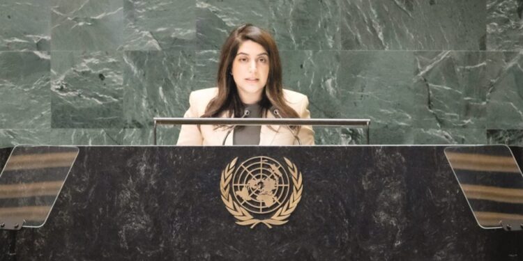 الإمارات تدعو لوضع أسس لتقييد استخدام حق النقض في مجلس الأمن