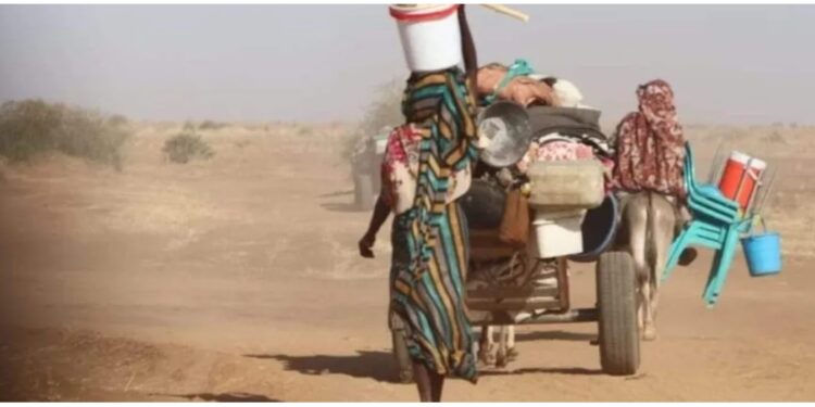 نزوح أكثر من 14 ألف أسرة من ولاية النيل الأزرق