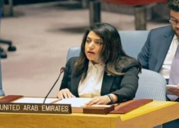 الإمارات بمجلس الأمن: الإدانة وحدها لم تعد كافية لمواجهة الانتهاكات وشن هجمات عشوائية ضد المدنيين