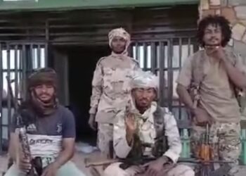 الدعم السريع يسيطر على محلية أم القري صباح اليوم