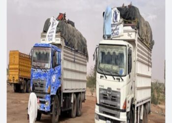 حركات الارتزاق تمنع شاحنتين إغاثة من دخول مخيم زمزم للنازحين