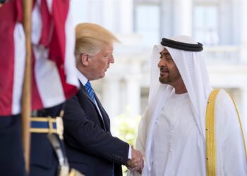 بن زايد وترامب