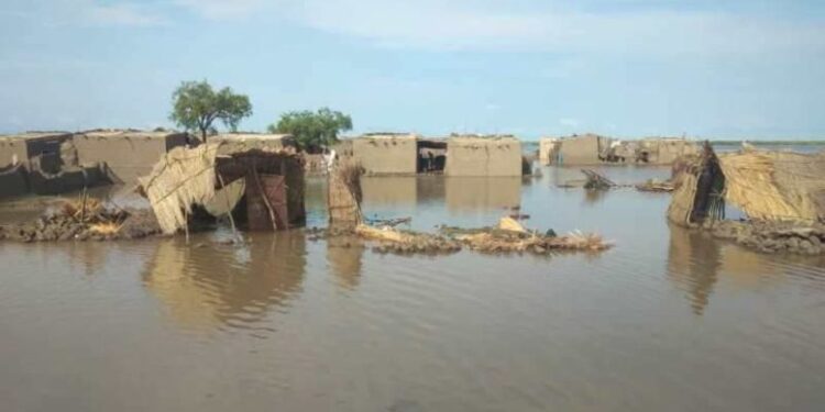 أمطار-فيضان-780x470