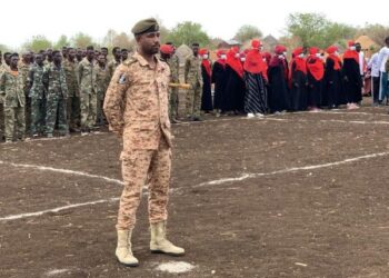 مستنفرو الجيش يتسببون في انفلات أمني بمنطقة أبو قوتة بولاية الجزيرة