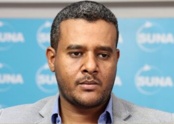 مرتزقة مناوي يسقطون مسيرات إيرانية تتبع للفلول بالفاشر