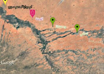 🟡 قوات الدعم السريع تسحق مليشيا البرهان بتخوم أم روابة